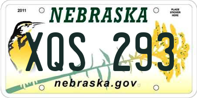 NE license plate XQS293