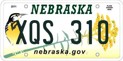 NE license plate XQS310