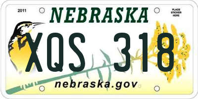 NE license plate XQS318