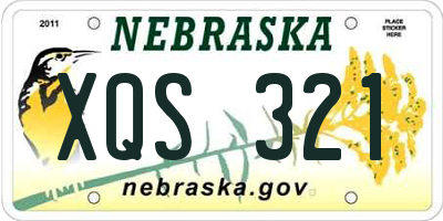 NE license plate XQS321