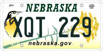 NE license plate XQT229