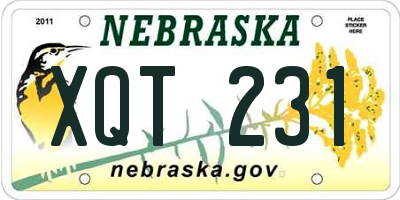 NE license plate XQT231