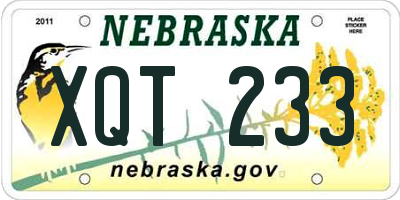 NE license plate XQT233