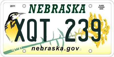 NE license plate XQT239