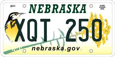 NE license plate XQT250