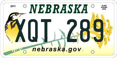 NE license plate XQT289