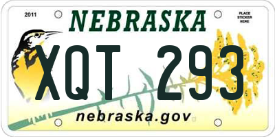 NE license plate XQT293