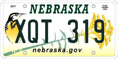 NE license plate XQT319