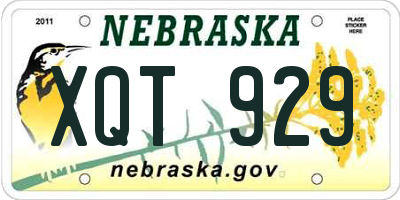 NE license plate XQT929
