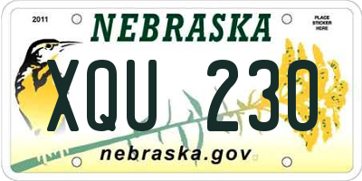 NE license plate XQU230
