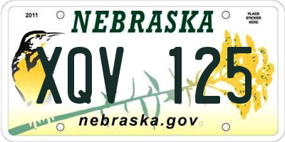 NE license plate XQV125