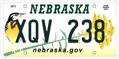 NE license plate XQV238