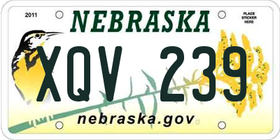 NE license plate XQV239