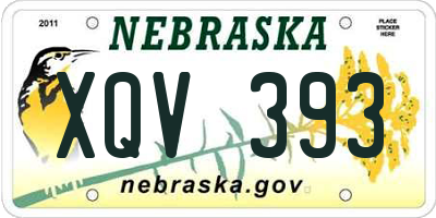 NE license plate XQV393