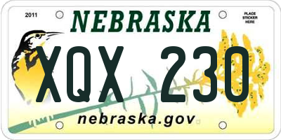 NE license plate XQX230