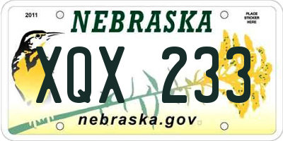 NE license plate XQX233