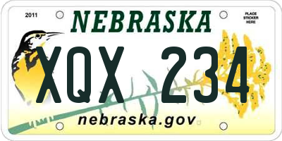 NE license plate XQX234