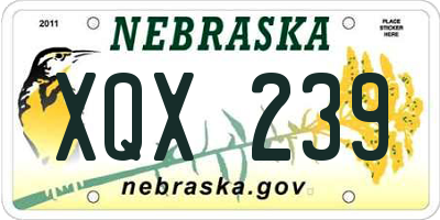 NE license plate XQX239