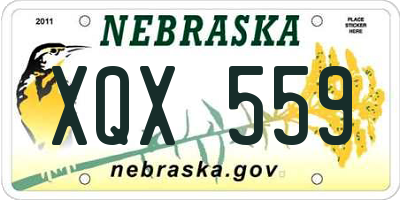 NE license plate XQX559