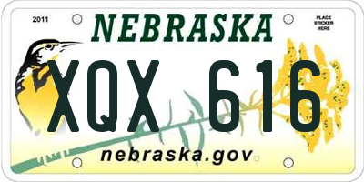 NE license plate XQX616