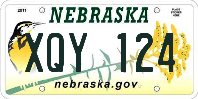 NE license plate XQY124
