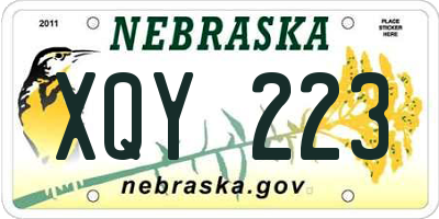 NE license plate XQY223