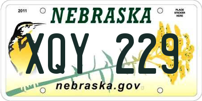 NE license plate XQY229