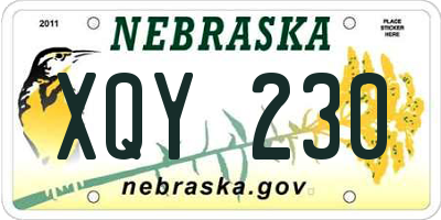 NE license plate XQY230