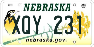 NE license plate XQY231