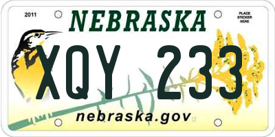 NE license plate XQY233