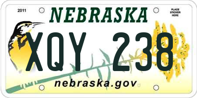 NE license plate XQY238