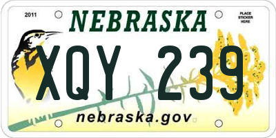 NE license plate XQY239
