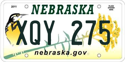 NE license plate XQY275