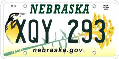 NE license plate XQY293