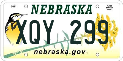 NE license plate XQY299