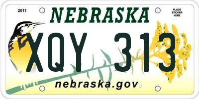 NE license plate XQY313