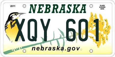 NE license plate XQY601