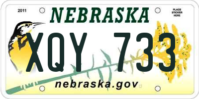 NE license plate XQY733
