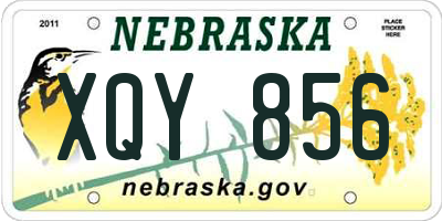 NE license plate XQY856