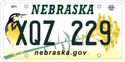 NE license plate XQZ229