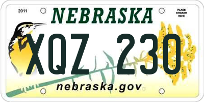 NE license plate XQZ230