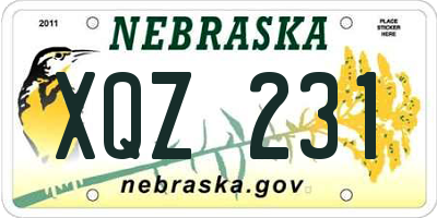 NE license plate XQZ231