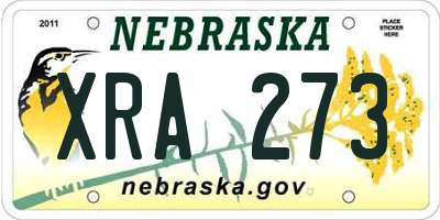 NE license plate XRA273