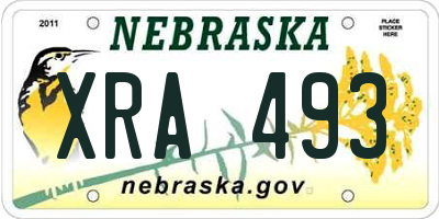 NE license plate XRA493