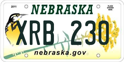 NE license plate XRB230