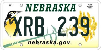NE license plate XRB239