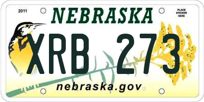 NE license plate XRB273