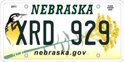 NE license plate XRD929