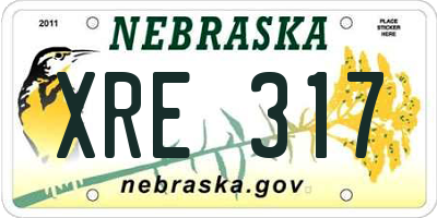NE license plate XRE317