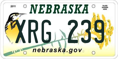 NE license plate XRG239